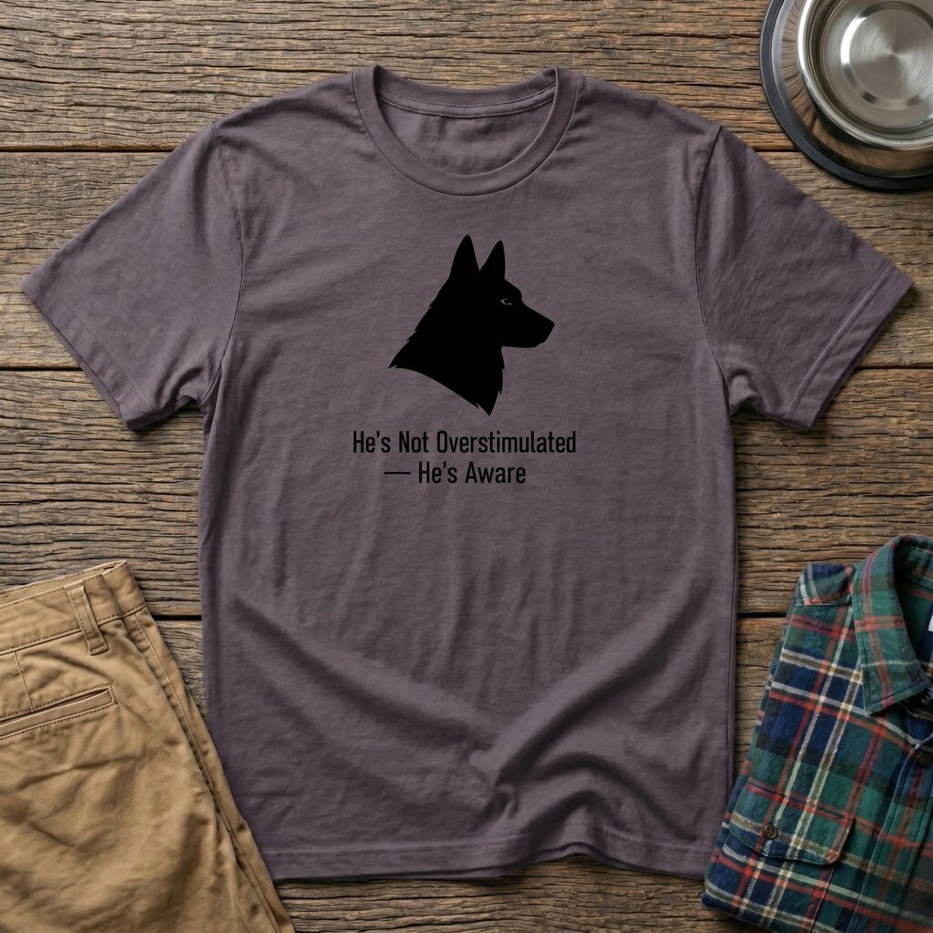 He's Aware T-Shirt